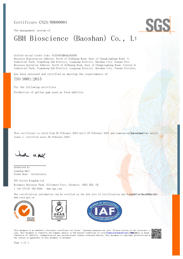 ISO 9001